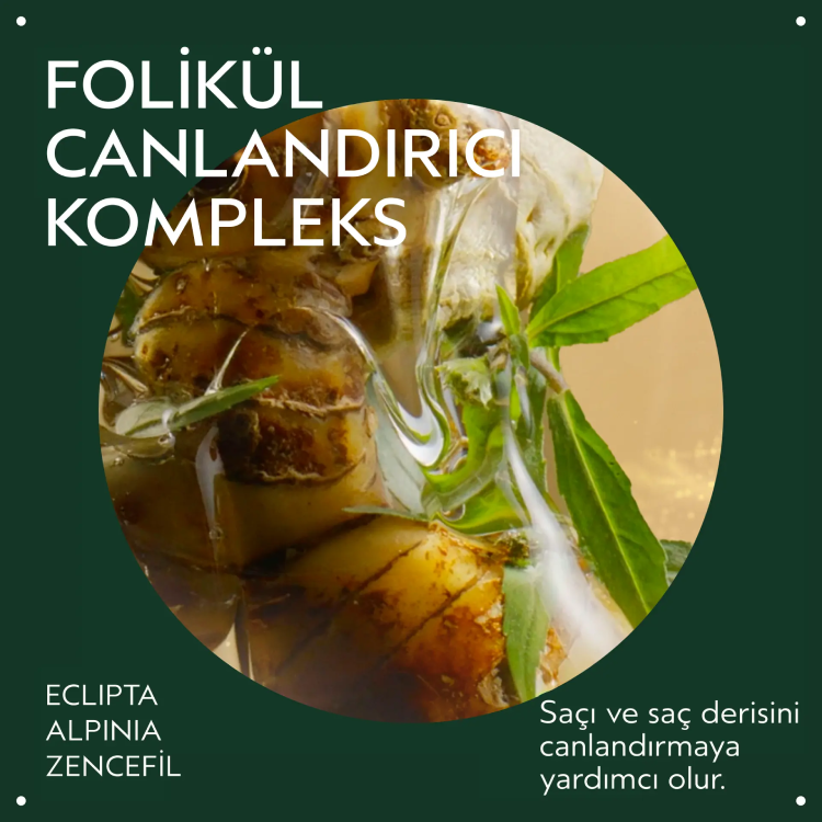 Folikül canlandırıcı