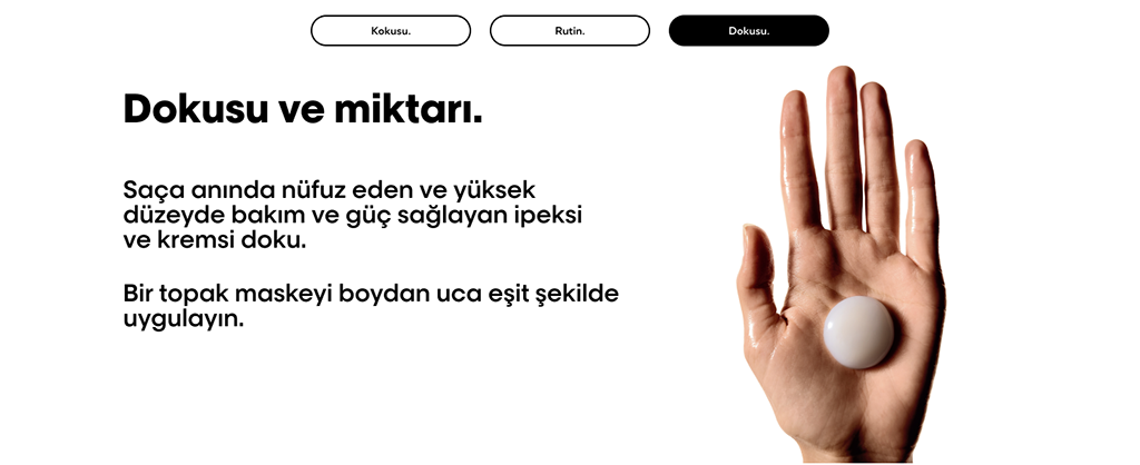 Absolut Repair Molecular profesyonel maske 2 yıllık hasar onarımı