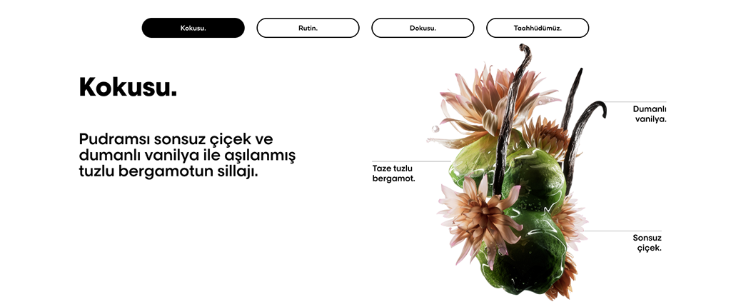 Absolut Repair Molecular ve Metal Detox şampuan seçimi