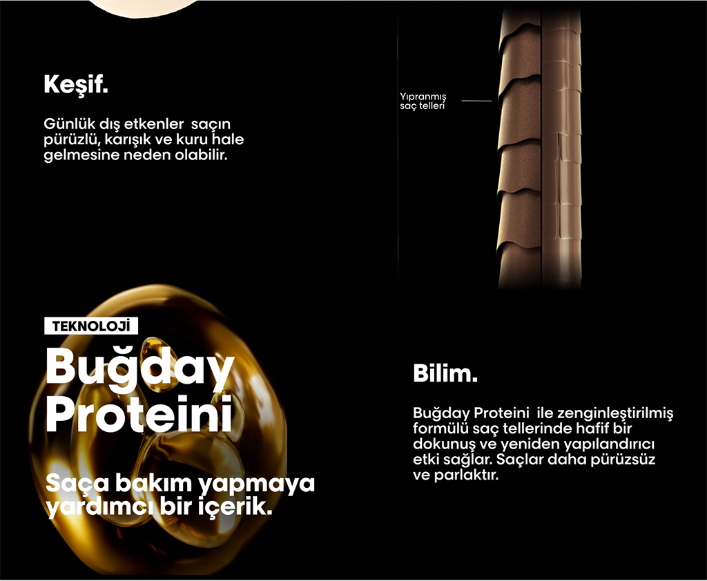 Bugday Proteini Teknolojisi Sac Yapisi