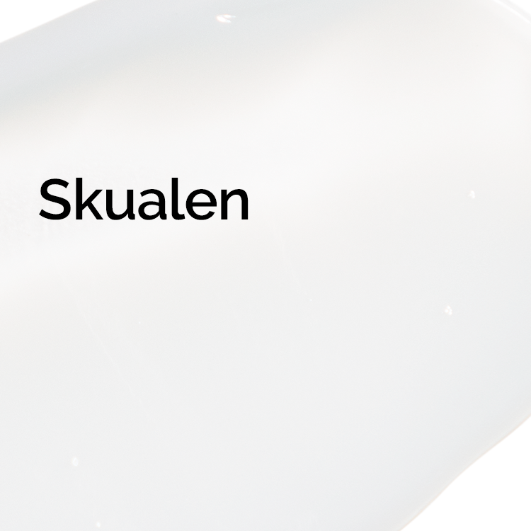 Skualen