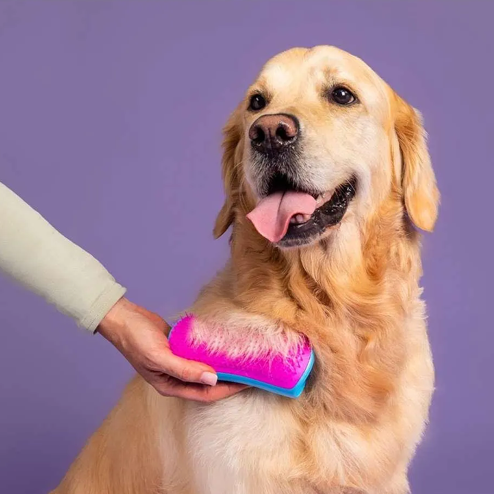 Pet teezer deshedding sale dog grooming brush